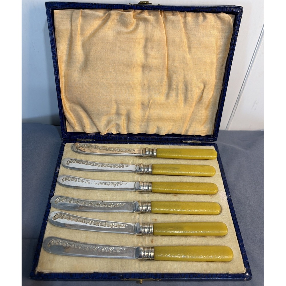 Vtg Boxed Set EPNS Etched Art Deco Floral  Butter Knives Bakelite Handles (6)